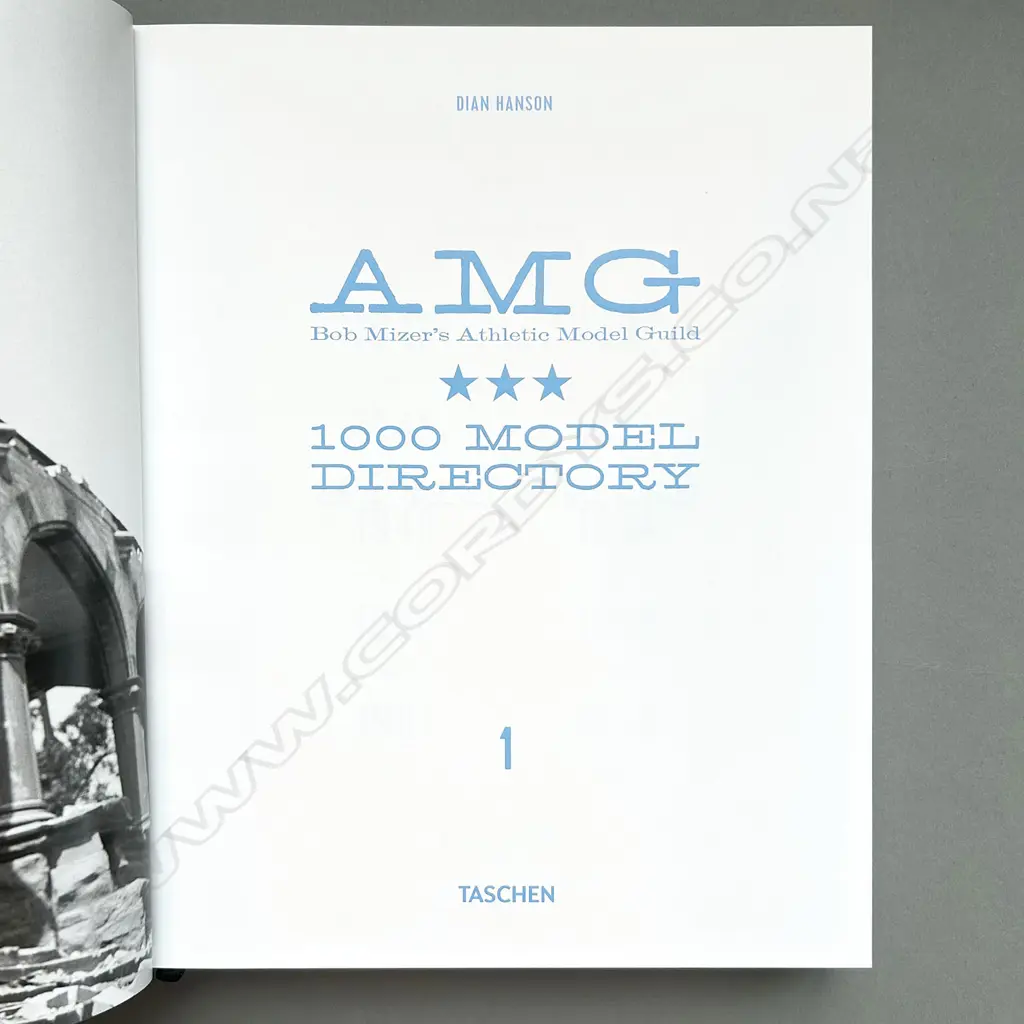 DIAN HANSON: AMG BOB MIZER'S ATHLETIC MODEL GUILD Image 1++